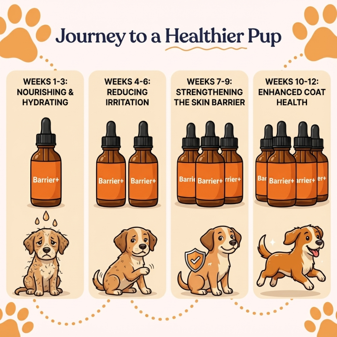 PawRx Barrier+ Premium Allergy & Skin Relief