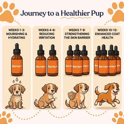 PawRx Barrier+ Premium Allergy & Skin Relief